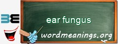 WordMeaning blackboard for ear fungus